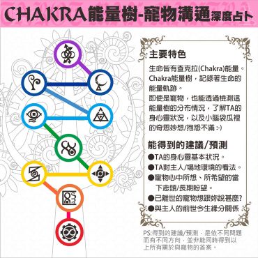 CHAKRA能量樹之寵物溝通 深度占卜